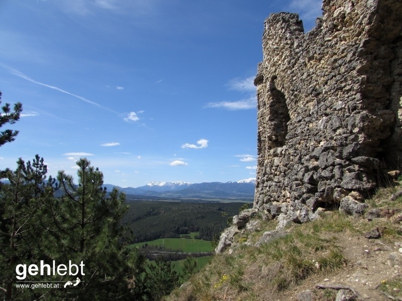 Die Hauptattraktion im Naturpark Türkensturz - die 1824 künstlich errichtete Ruine.