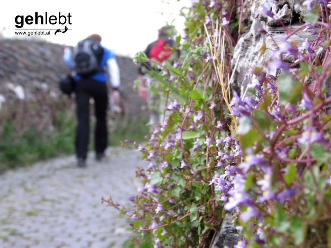 24-Stunden-Wanderung Moselsteig