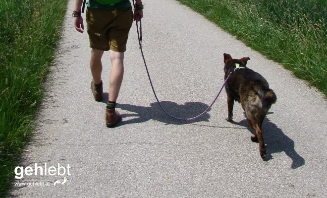Asphalthatscher mit den Outdoor Socks und Begleitung.