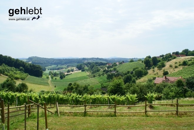 Dieser Ausblick brennt sich in die Erinnerungen ein - von der Terrasse am Weinhaus 02.