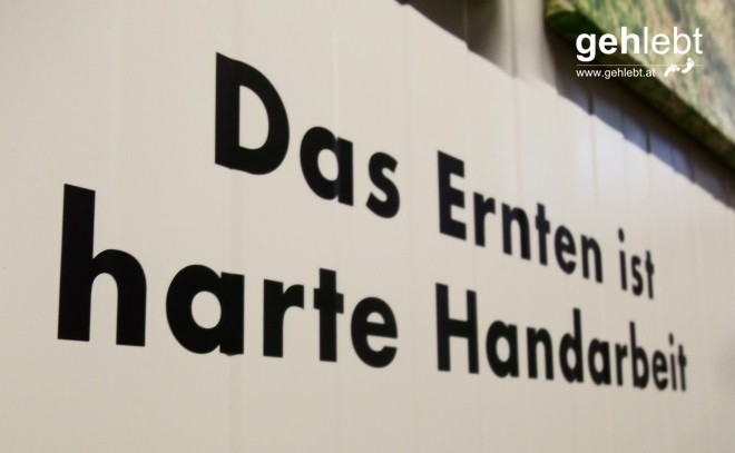 Der Weg von der Bohne zur Tafel ist ein beschwerlicher.
