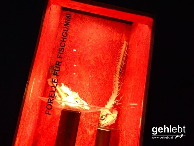 Fragt mich nicht...keine Ahnung.