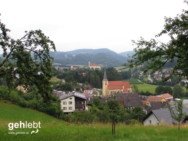 Blick von der Berta-Ruhe auf die Türme Waldhausens.