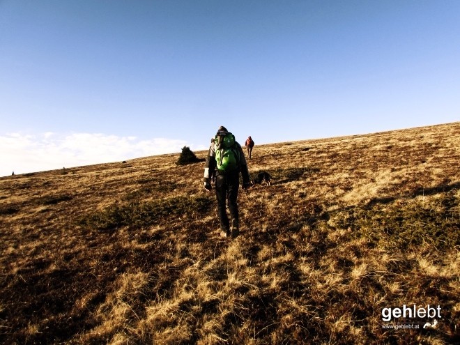 Wüde Hund samma! Total weglos geht's rauf auf den Zöhrerkogel.