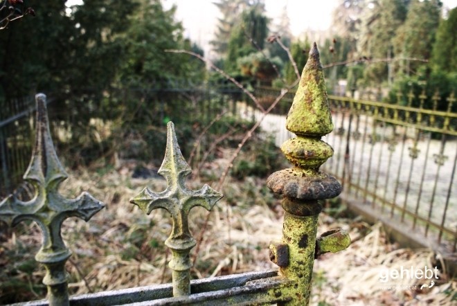 Frühmorgentliche Stimmung am Friedhof.