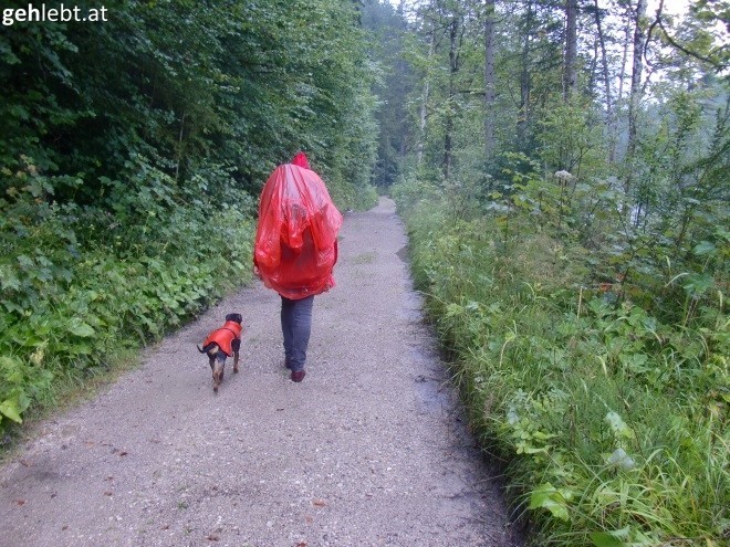 Die erste Weitwandertour startete gleich mal mit Regenschutz.