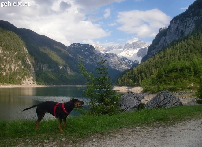 Wer braucht schon eine Aussicht, wenn man ein Steckerl haben kann.