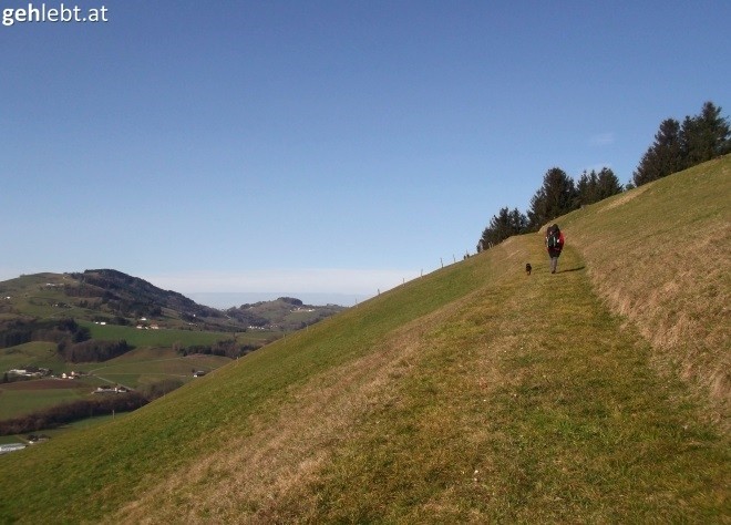 Gemeinsam durchs Ennstal wandern - im Februar.
