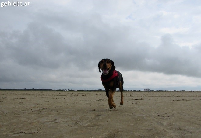 An der Nordsee wehen die Winde schon mal stärker.