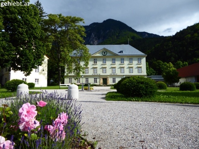 Blumiges Schloss Reichenau.